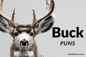 buck puns