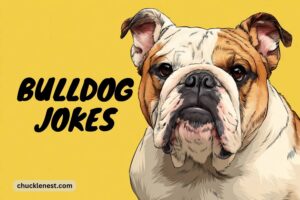 bulldog jokes