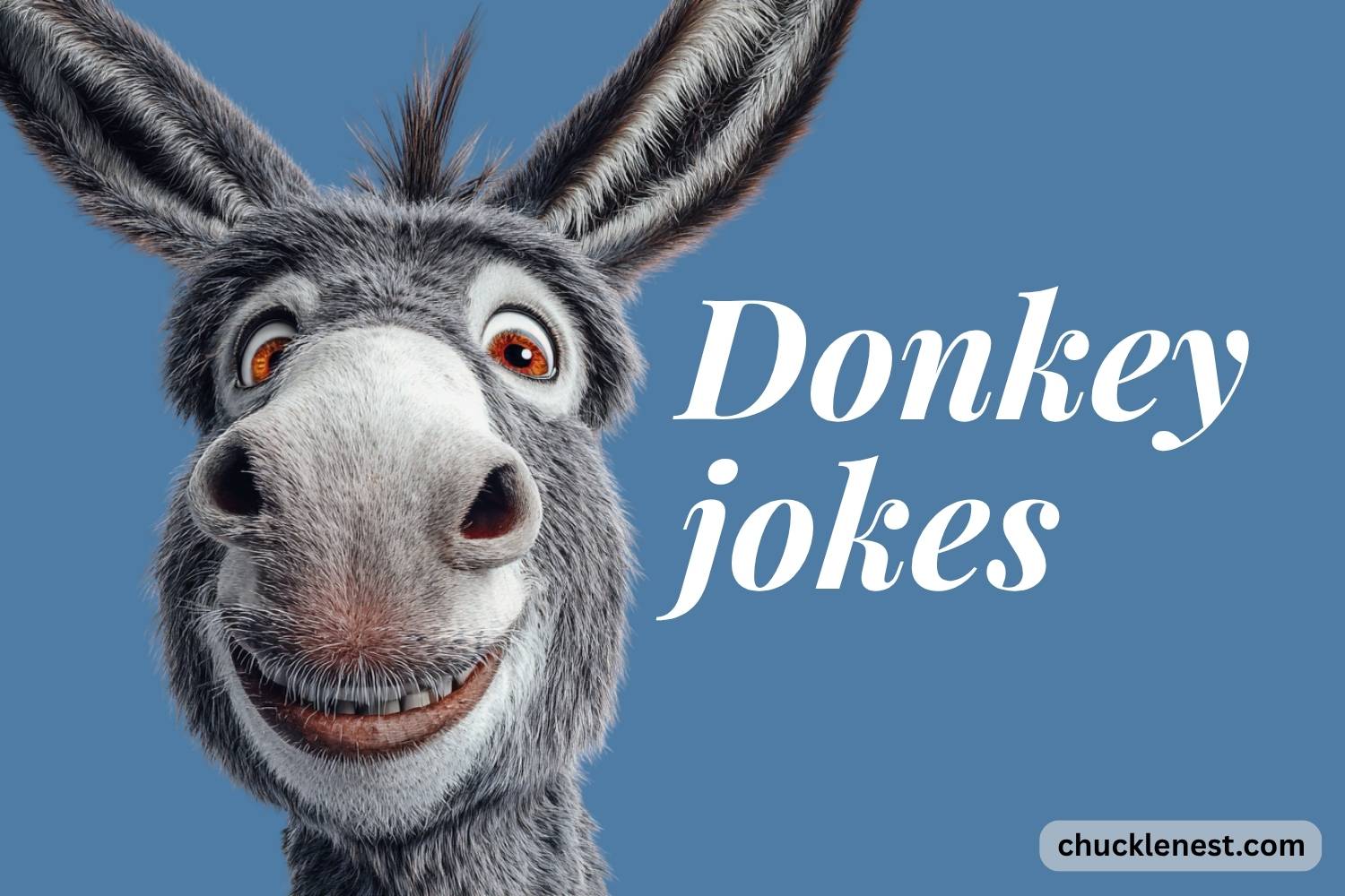 donkey jokes