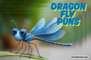 dragonfly puns