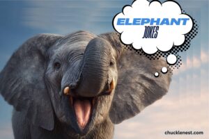 elephant jokes