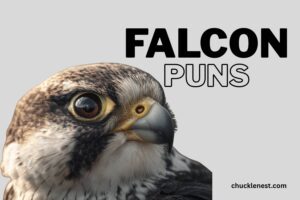 falcon puns