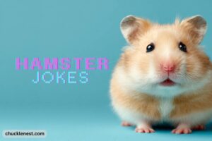 hamster jokes