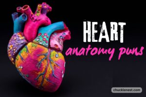 heart anatomy puns