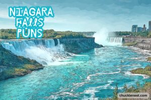 niagara falls puns